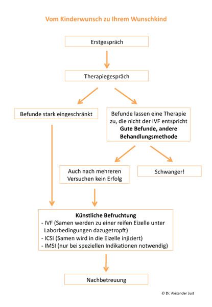 Vom Kinderwunsch zu Ihrem Wunschkind - Info Grafik